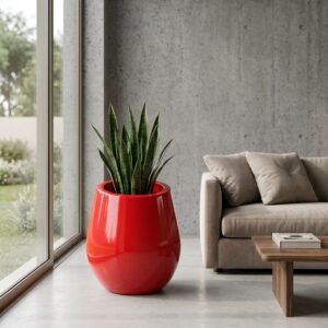 Minimal-1